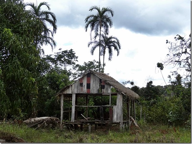 BR-319_Humaita_Manaus_Day_1_DSC05233