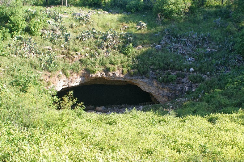 bracken-bat-cave-12