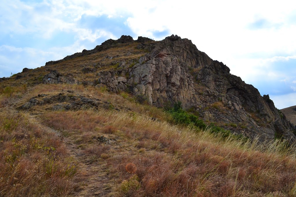 [DSC_65163.jpg]