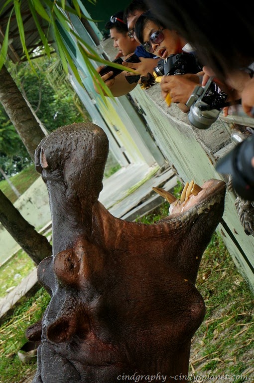 [TSDAYOUT%2520Banting11%255B4%255D.jpg.webp]