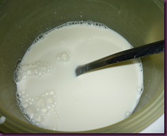 yogurt (1)