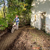 By Alessandra Tommei