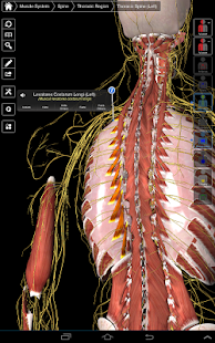 Essential Anatomy 3 - screenshot thumbnail