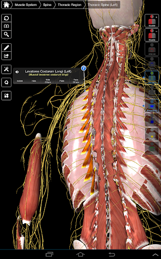 Essential Anatomy 3 - screenshot