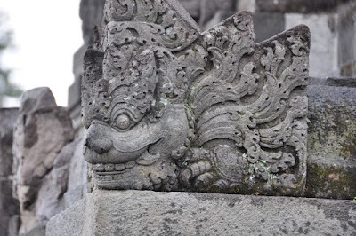DSC_0031.jpg