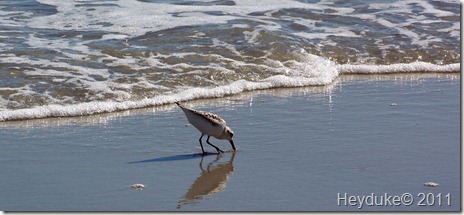 2011-10-17 Myrtle Beach 026