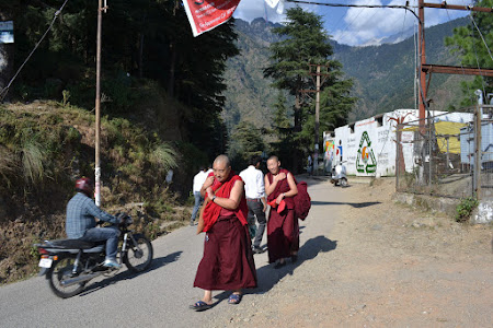 Mica Lhasa: pelerinajul de dimineata din Bhagsu spre Mcleod Ganj