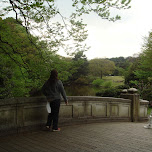a bridge in yoyogi park in Yoyogi, Japan 