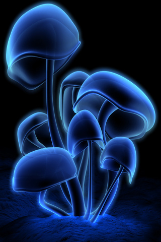 Flickr-iphone-wallpaper