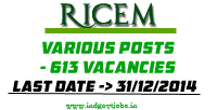 RICEM-Jobs-2014