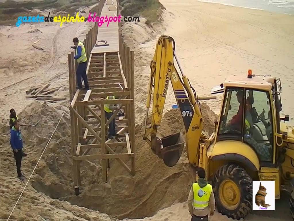 [Gazeta%2520de%2520Espinho011-20150226%255B3%255D.jpg]