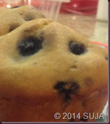 blueberry muffins_2