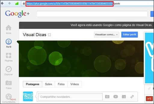 pluswordpress4