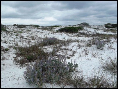 Dune hike & rain paddle 020