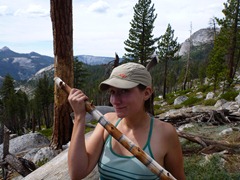 Walking stick and feather in the cap, Yosemite.