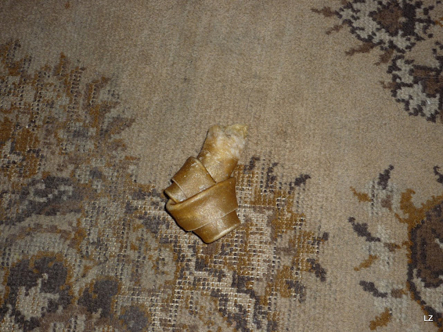 P1020502.JPG