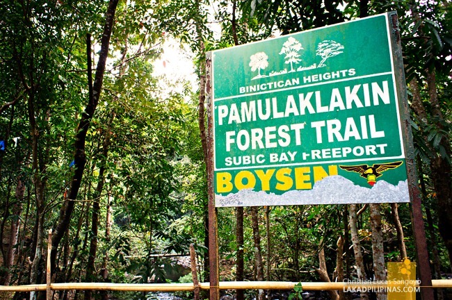 ZAMBALES | Subic's Jungle Survival at Pamulaklakin Forest Trail - Lakad  Pilipinas