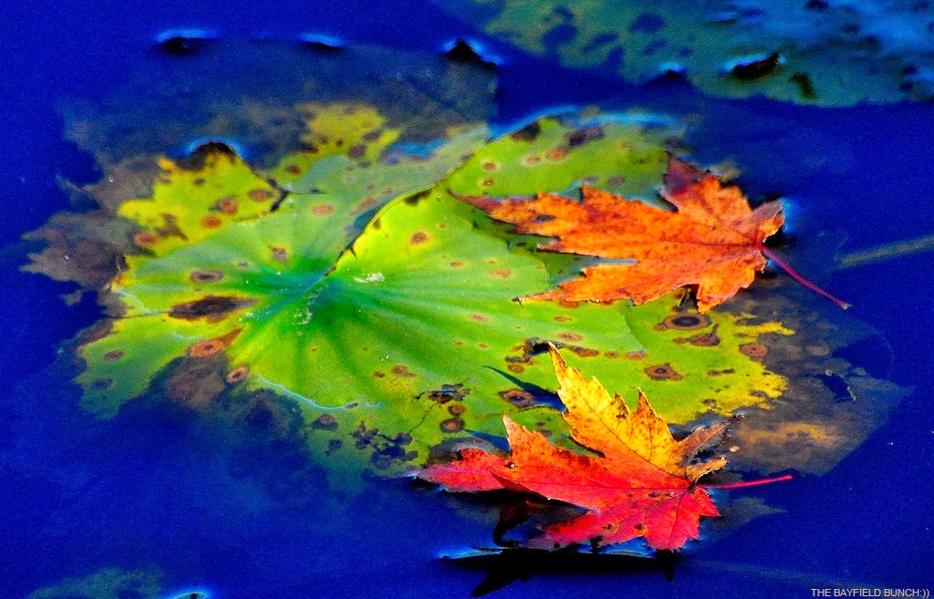 [DSC_0019-002%255B3%255D.jpg]