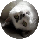 Image Google de pascale mareuil