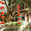 Yangshuo lampiony nad kanałem