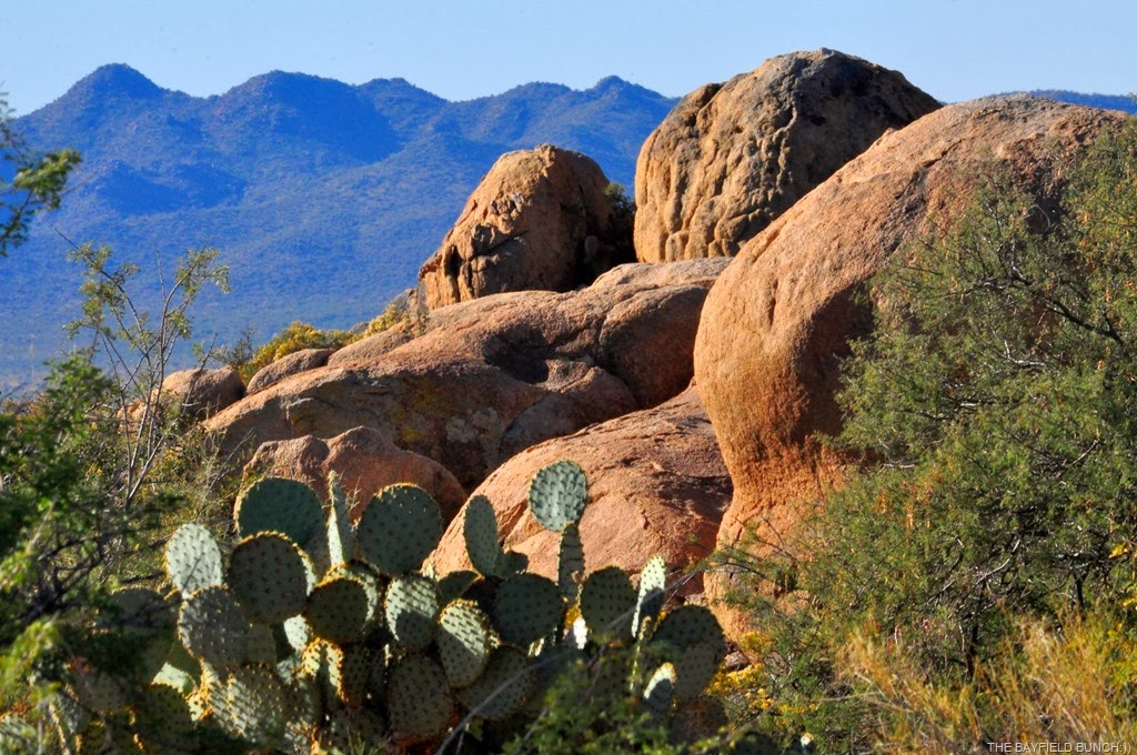 [DSC_0040%255B3%255D.jpg]