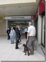Farewell Liverpool 018 (768x1024)