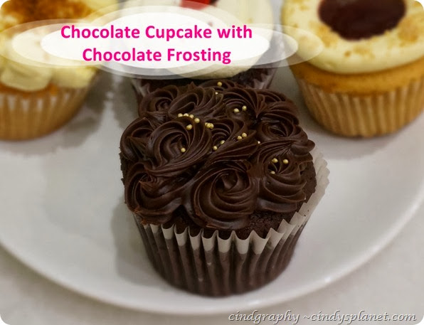 Chocolate Cupcake with Chocolate  Frosting
