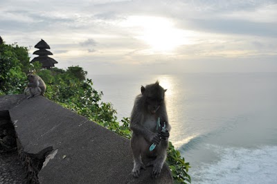 DSC_0154.jpg DSC_0154.jpg