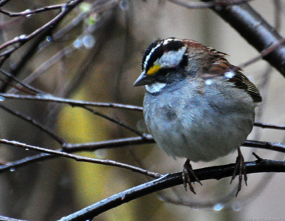 [DSC_0012%255B3%255D.jpg]