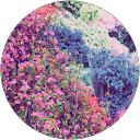 Heather Ls profile picture
