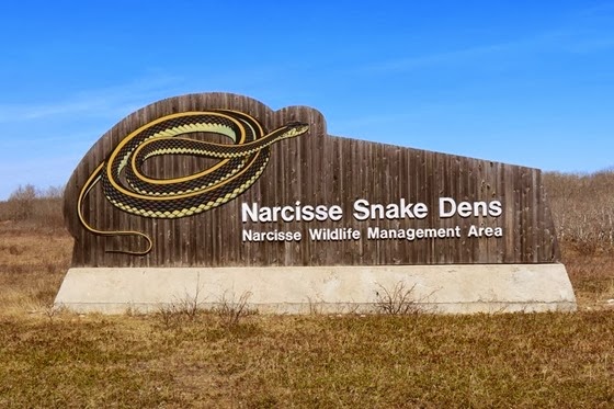 narcisse-snake-pits-2