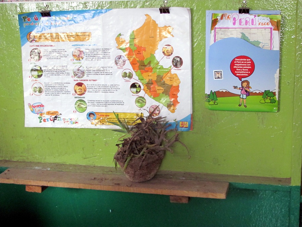 [IMG_0044%255B3%255D.jpg]