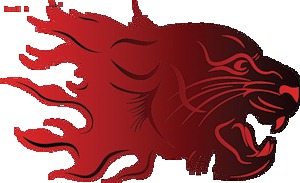 [tigres%2520%252826%2529%255B5%255D.jpg]