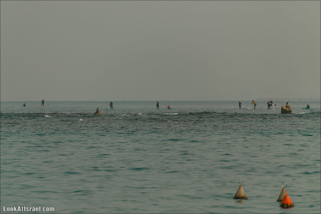 LookAtIsrael.com - Фото путешествия по Израилю | Занятия йогой в море в Тель Авиве | Yoga in Tel Aviv