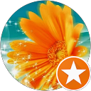 Image Google de Laetiitia Ch