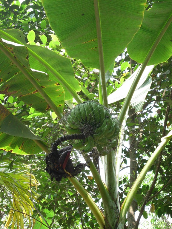 [DSCI1491%255B4%255D.jpg]