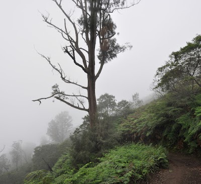 DSC_0786.jpg DSC_0786.jpg