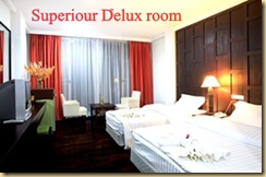 Superior Delux room