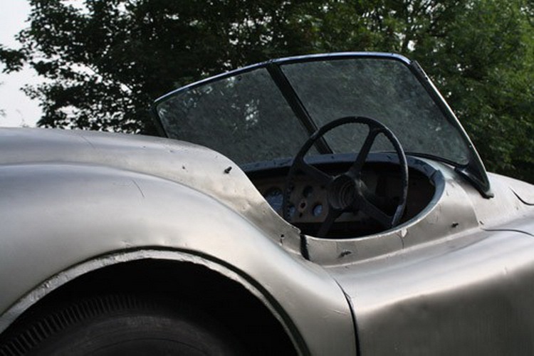 [Jaguar-Coys-11%255B2%255D.jpg]