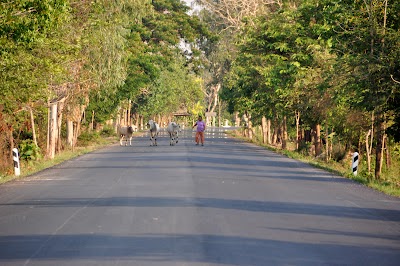 DSC_0206.JPG