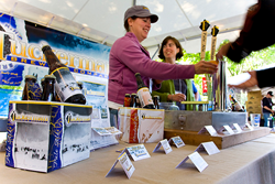 [image%255B2%255D.png]