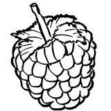 RASPBERRIES COLORING PAGES