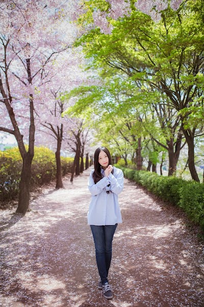 Bambi (밤비) Lacerta Photography