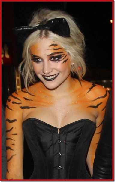 maquillaje de tigre (10)