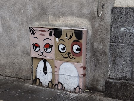 19. Pisici siciliene.JPG