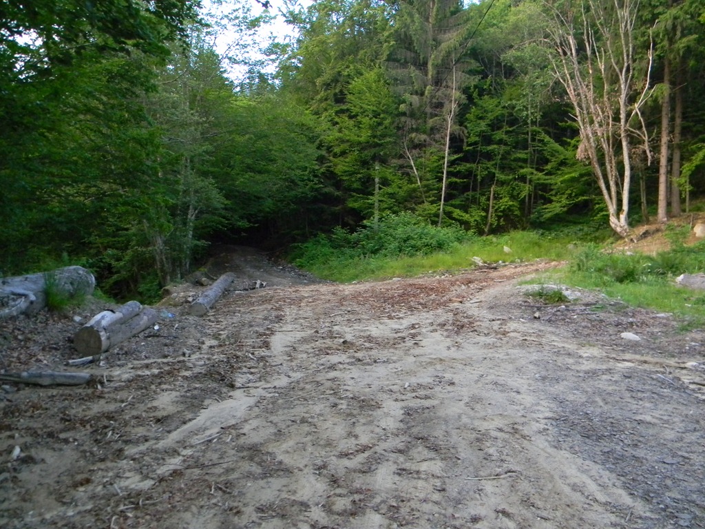 [DSCN25063.jpg]