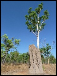 Australia, Kakadu, 8 October 2012 (2)