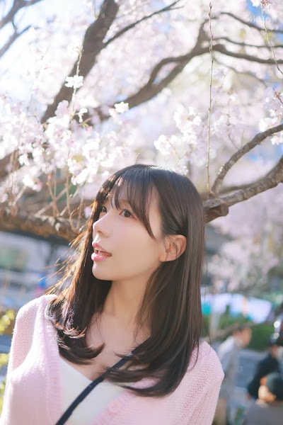 [Patreon] 쏘블리 (@leeesovely) Sakura Part1