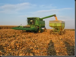 Iowa Corn Harvest 4