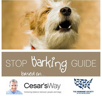 Stop barking guide based on Cesar Millan and The Humane Society